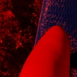 Spirularin® NF Salbe